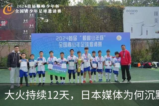 大火持续12天，日本媒体为何沉默？民众愤怒